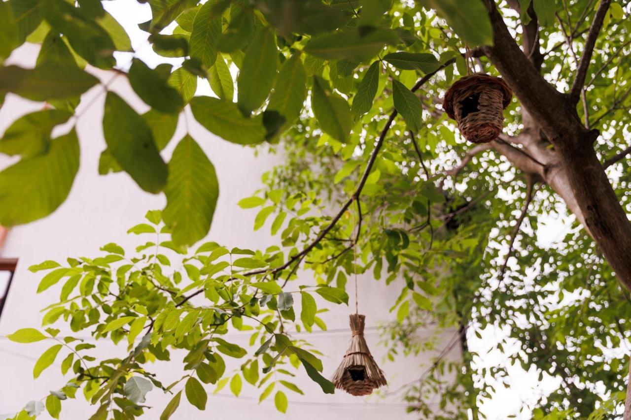Roua Ludica Apartments บราชอฟ ภายนอก รูปภาพ